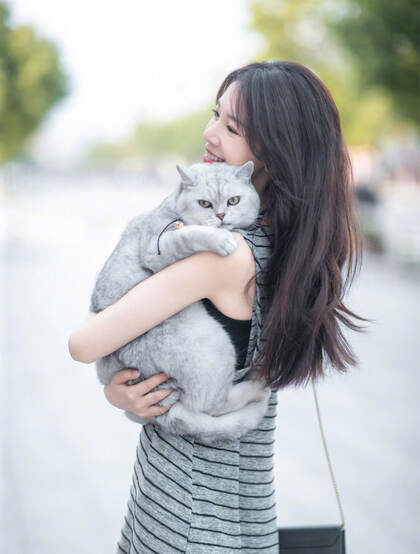 陈瑶抱着一只大肥猫上街唯美写真图片