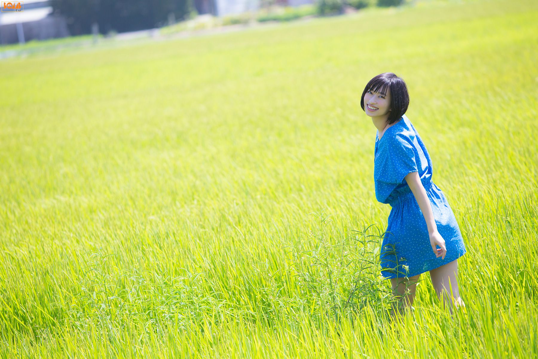 仓持由香图片，写真少女仓持由香的稻田秀图片