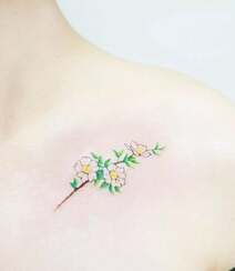 唯美小清新花朵，绿叶，花瓣系列女生纹身小图案图片欣赏组图6