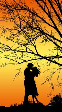 在一棵枯树下接吻的情侣唯美剪影手机壁纸图片