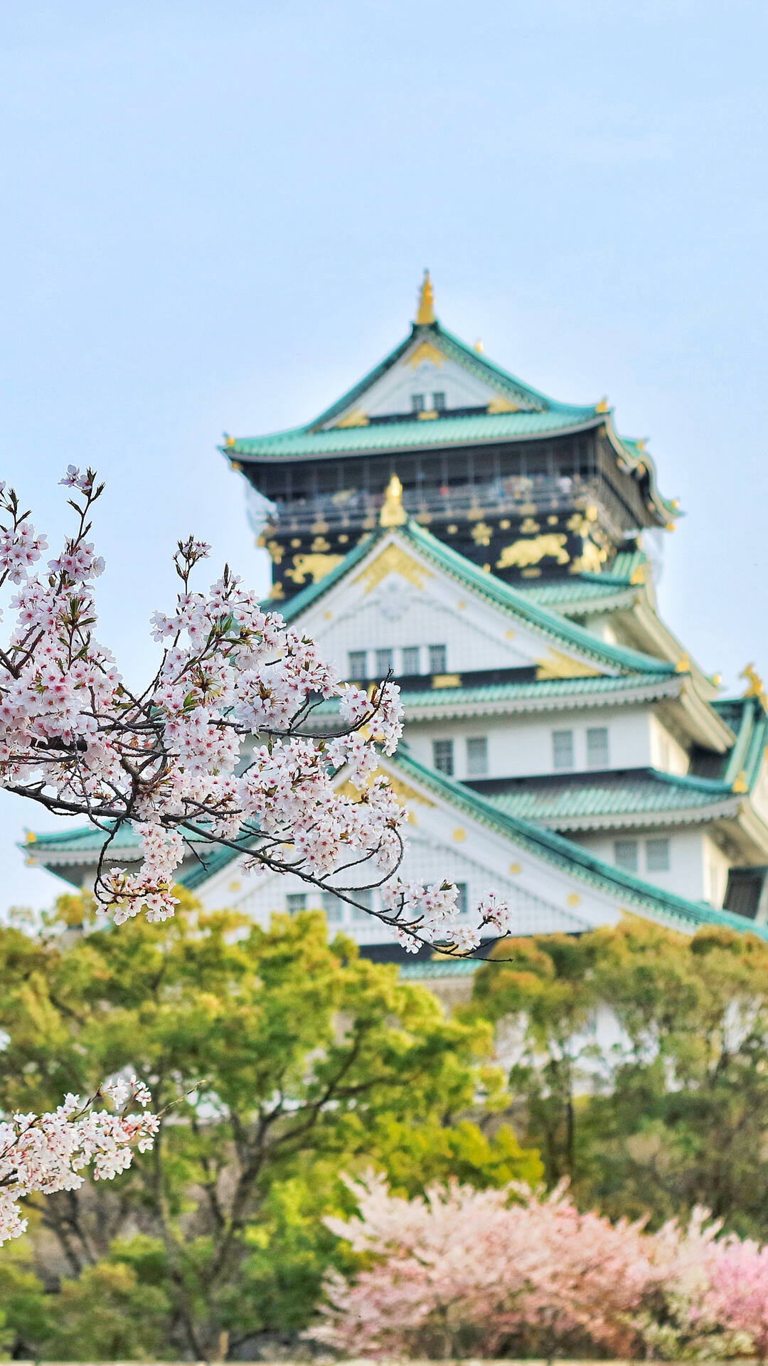 日本传统标志性建筑前的樱花手机壁纸第1张壁纸