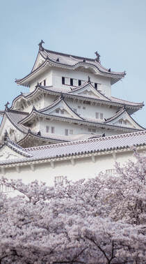 日本传统标志性建筑前的樱花手机壁纸组图8