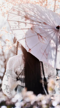 樱花树下打着油纸伞的唯美古风美女的背景等手机壁纸