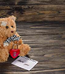 可爱泰迪熊玩具布偶图片，拟人摆拍的泰迪熊布偶玩具唯美高清图片组图8