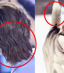 狼尾发型图片，原来很受明星喜欢的狼尾发型，现在好像都消失了吗？组图11