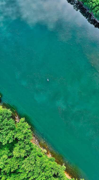 高空俯瞰下的宽大河流，和河边郁郁葱葱的树木景色手机壁纸图片