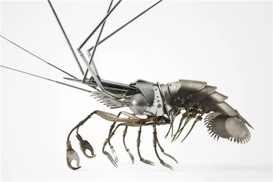 创意手工机械昆虫，以废旧金属物品打造，创意达人Edouard作品图片图片