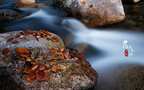 落叶知秋，立秋壁纸，以山间溪水，石头，落叶为背景的立秋文字壁纸图片组图2