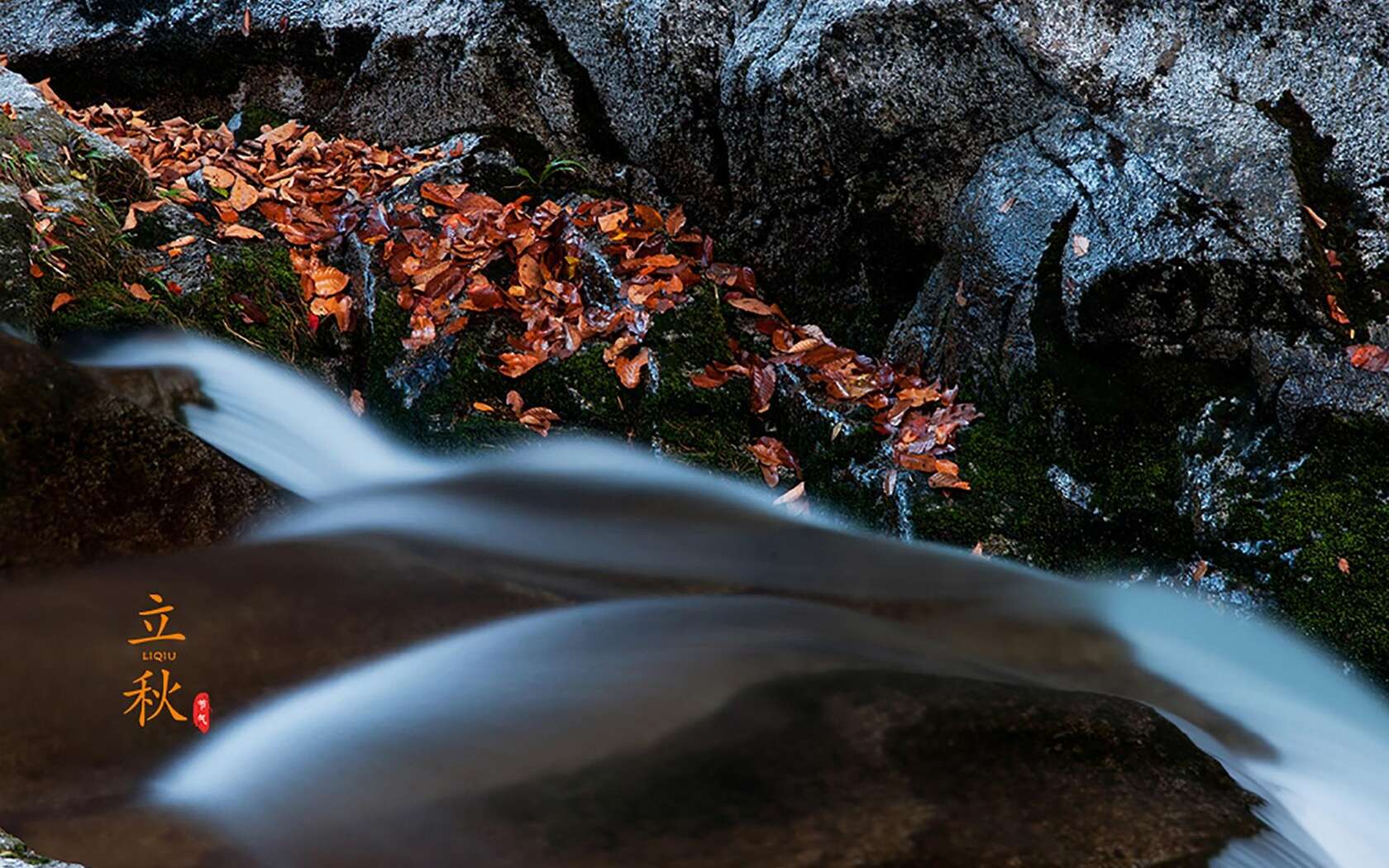 落叶知秋，立秋壁纸，以山间溪水，石头，落叶为背景的立秋文字壁纸图片套图1