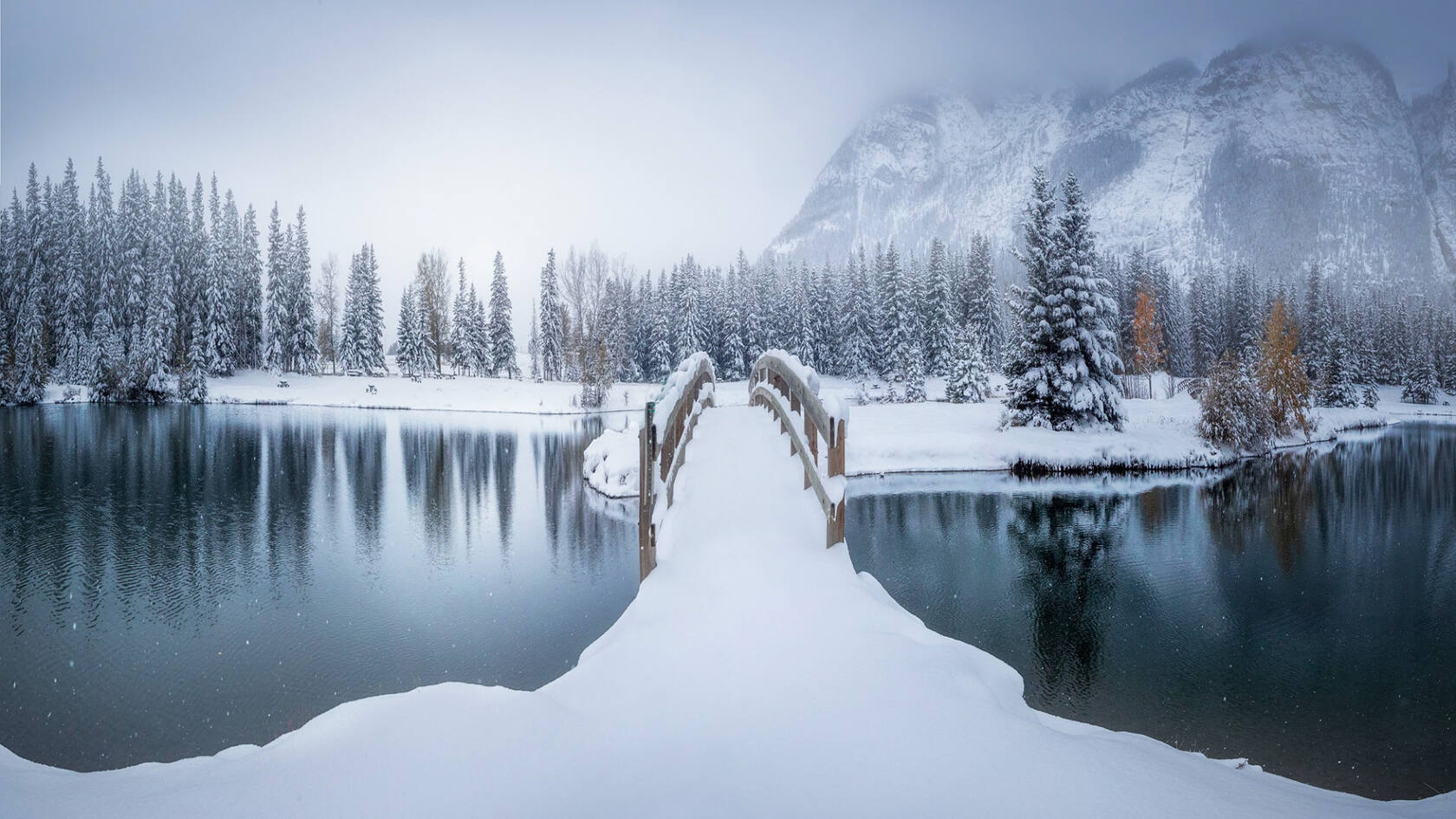 暴美的森林雪景高清电脑壁纸，简单纯洁第1张图片