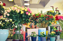 各式的玫瑰花艺术搭配盆栽，花店的玫瑰花艺术插花电脑壁纸