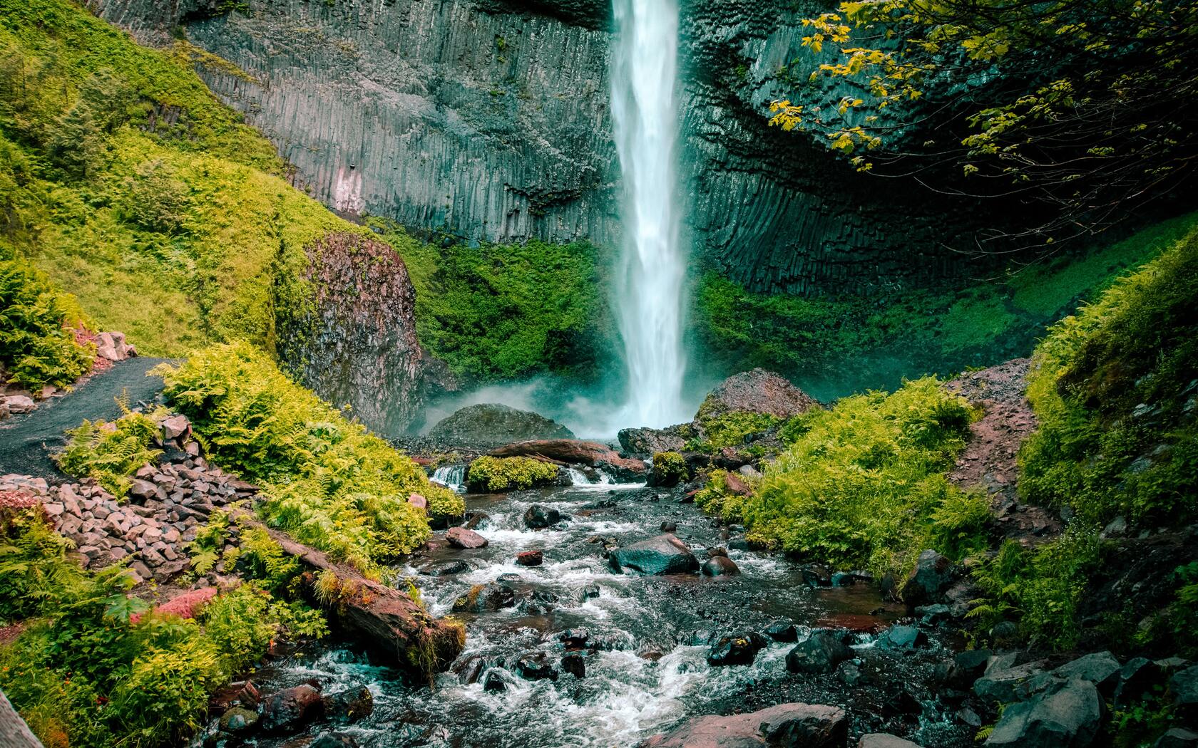 绿色护眼万物复苏的森林山水大自然风景电脑壁纸专辑套图5