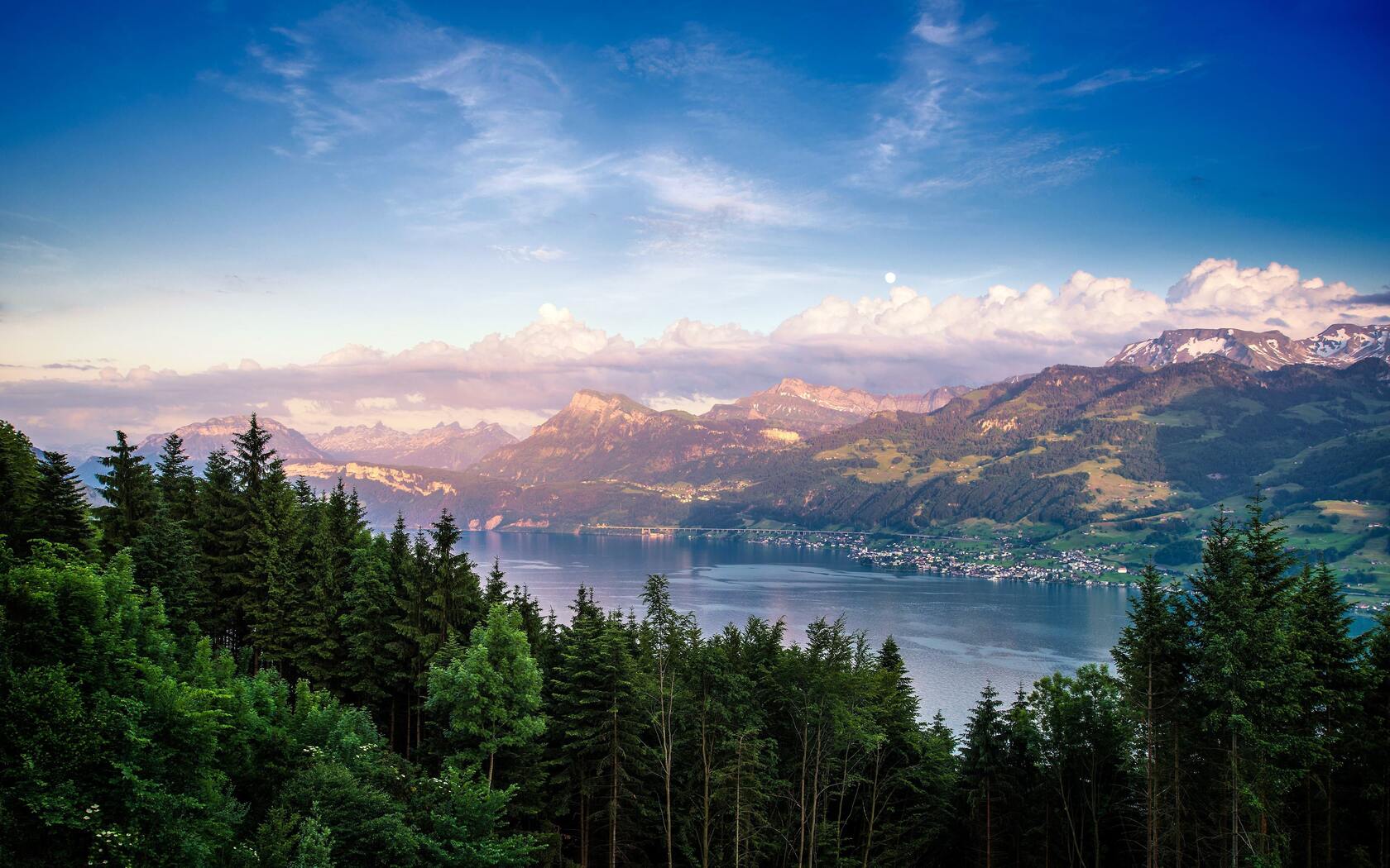 绿色护眼万物复苏的森林山水大自然风景电脑壁纸专辑套图7