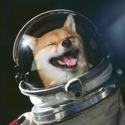 穿宇航服的人，航天员，和狗狗等暗黑风格个性梦想QQ头像图片