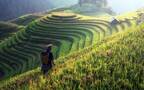 生机勃勃的森林山水，赏心悦目的大山风景壁纸合集推荐组图3