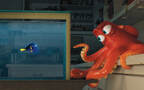 萌萌海洋主题动画电影“海底总动员2”超清壁纸组图1