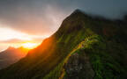 生机勃勃的大山森林风景超清壁纸组图2