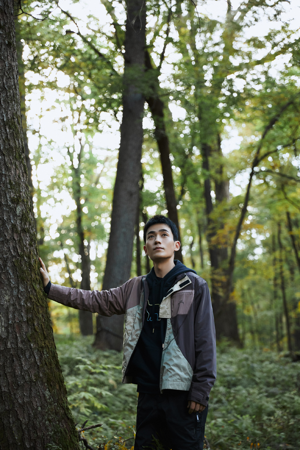朱一龙在大树林立的自然森林中享受清新大自然旅拍写真图片