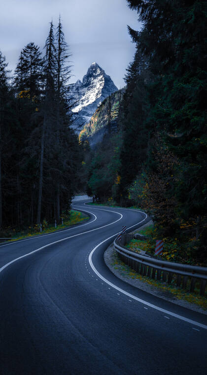 穿梭于森林的S型公路风景