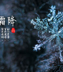 晶莹的雪花，以雪花为背景的二十四节气之霜降文字壁纸美图组图1