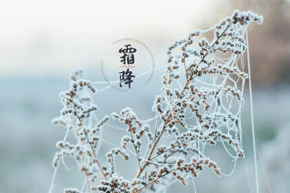 霜降文字壁纸，以落在草木枝头的寒霜为背景的唯美霜降节气壁纸