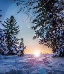 冰天雪地中，堆满积雪的云杉树木景色图片组图11