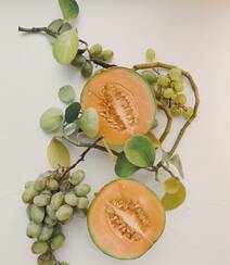出产于新疆，味道甜美，果实大的哈密瓜图片组图7