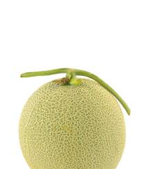 出产于新疆，味道甜美，果实大的哈密瓜图片组图6