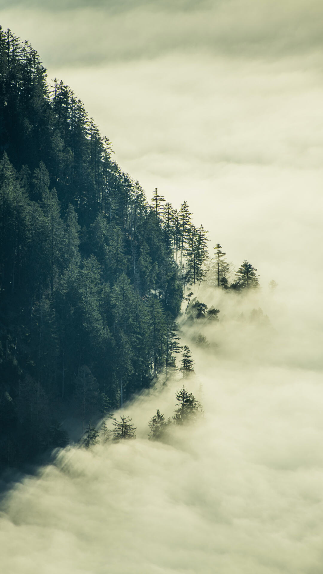 美丽的大自然云海山脉风景高清手机壁纸套图1