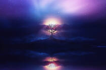 紫月下小岛上的一棵树场景桌面壁纸