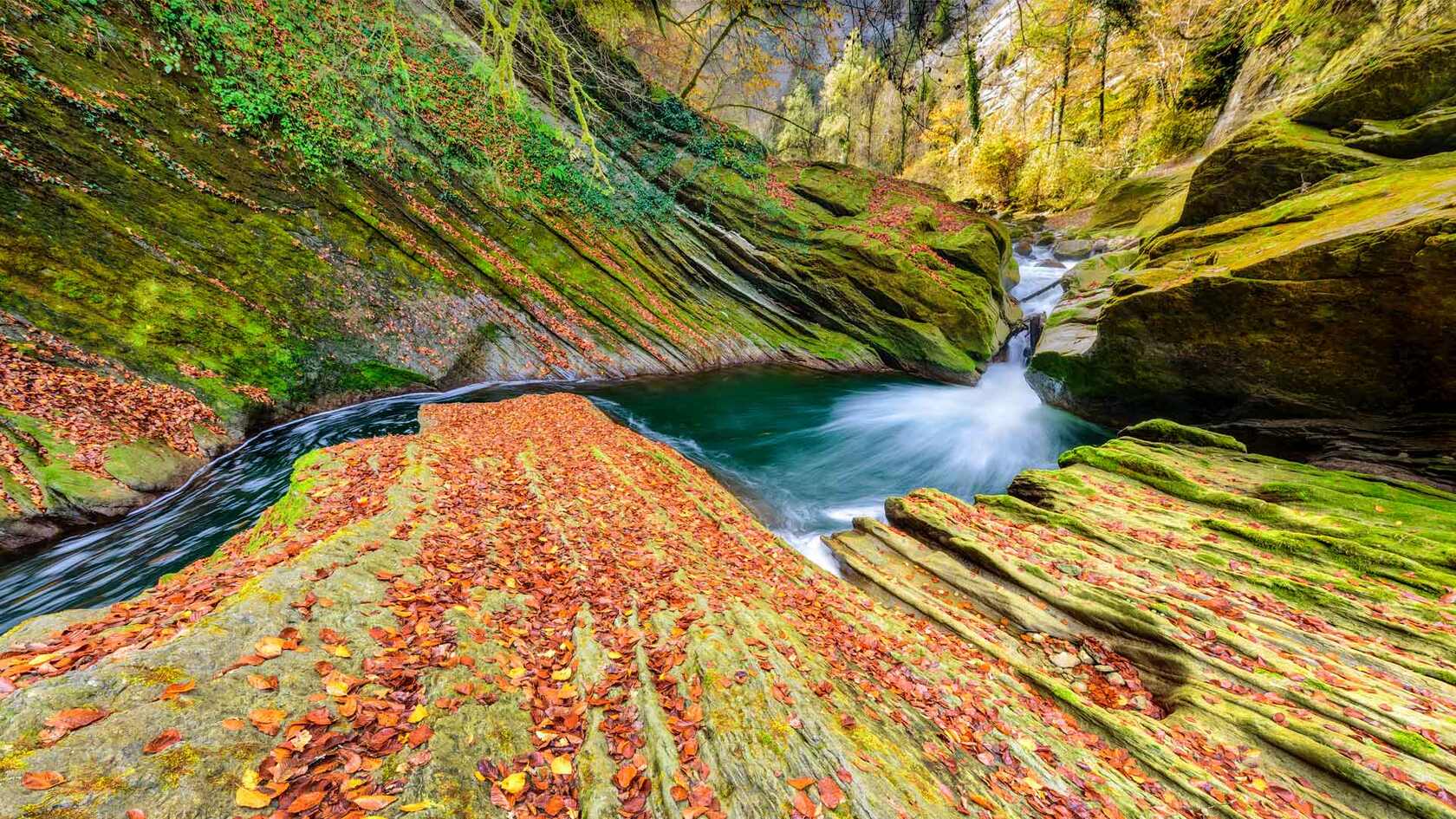 阿尔卑斯山峡谷布满青苔的大石头，流淌的河水山间壁纸图片第1张图片