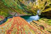 阿尔卑斯山峡谷布满青苔的大石头，流淌的河水山间壁纸图片