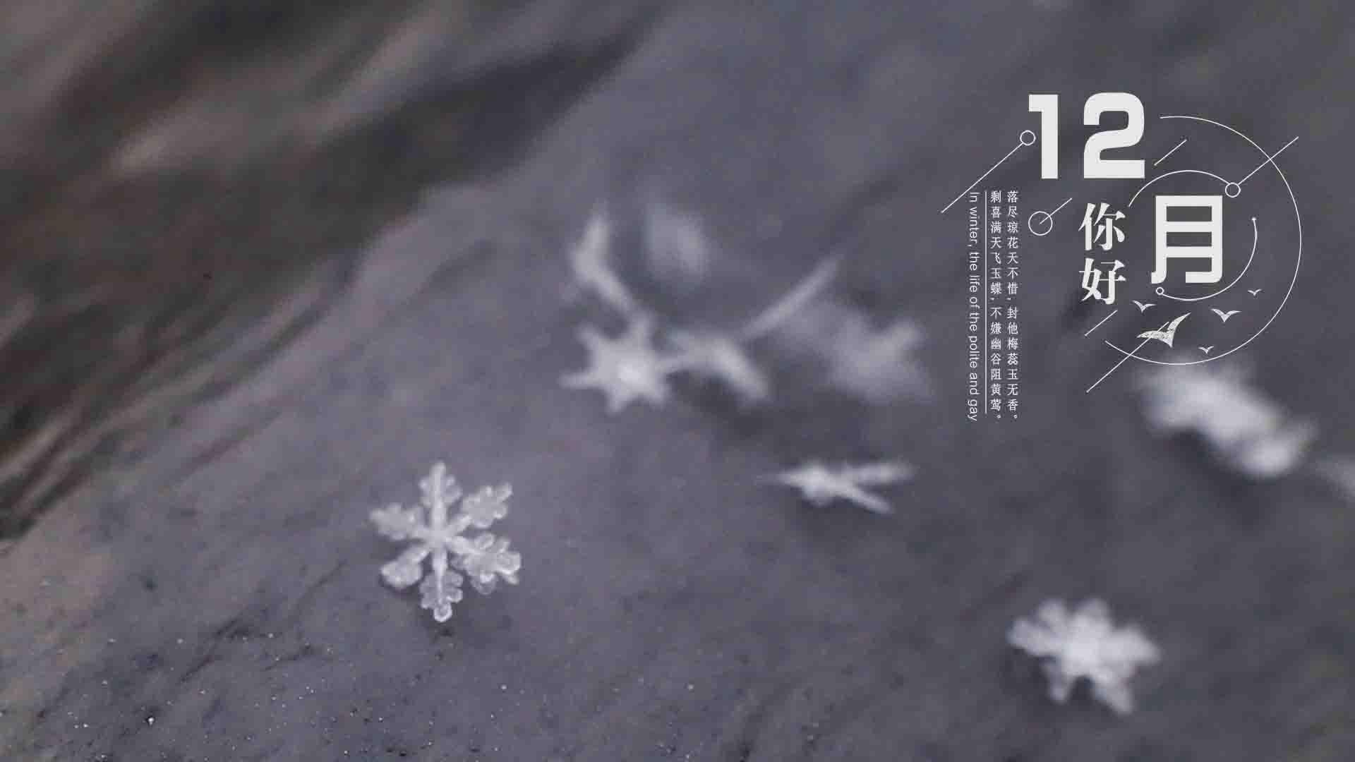 12月你好创意美图，以冰花、雪花为背景的12月你好带句子文字图集图片