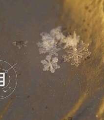 12月你好创意美图，以冰花、雪花为背景的12月你好带句子文字图集组图7