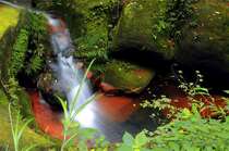 川流不息 溪流 石头 青苔 瀑布 红色石头 赤水佛光岩唯美景色壁纸图片