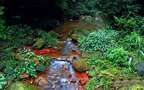 川流不息 溪流 石头 青苔 瀑布 红色石头 赤水佛光岩唯美景色壁纸图片组图4