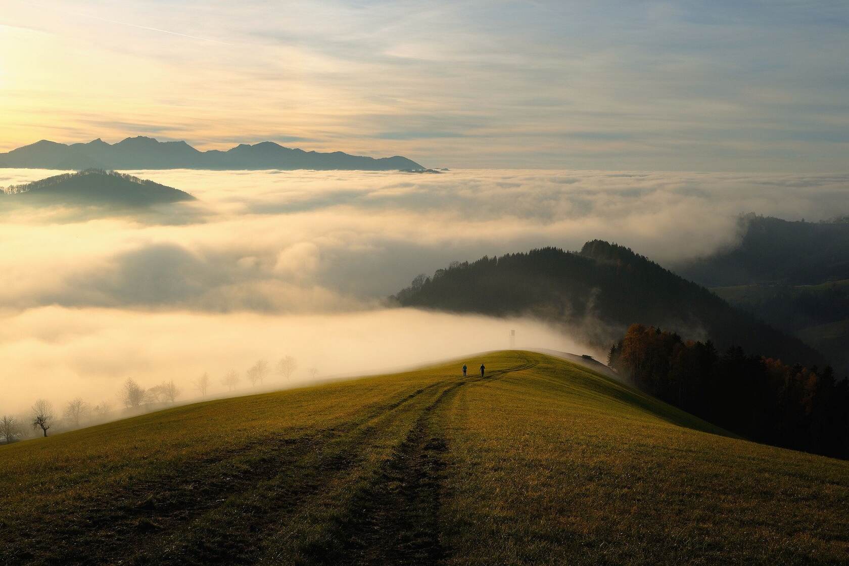 与天高，雾气弥漫的高海拔山间小道唯美高清路径景色壁纸图片第1张图片