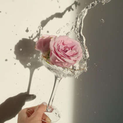 水 杯子 玫瑰花 刹那间的美感 好看有创意的静止镜头摄影QQ头像图片