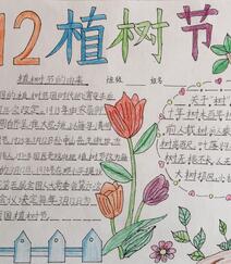 植树节手抄报，小学生纯手写设计绘画的植树节手抄报作品图片欣赏组图3