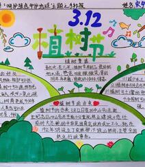 植树节手抄报，小学生纯手写设计绘画的植树节手抄报作品图片欣赏组图6