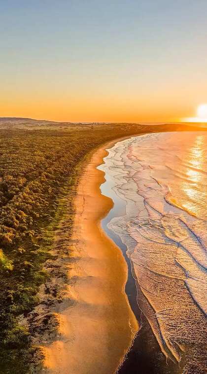美丽的日出 朝阳 海岸线 沙滩 树林 唯美高清手机壁纸图片