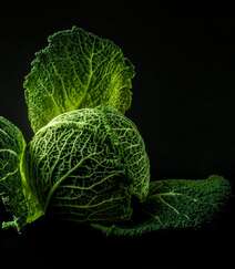 清新翠绿的包菜（卷心菜）唯美高清蔬菜摄影美图图集组图4