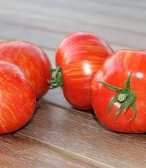 摆在桌上的西红柿（番茄）高清微距摄影美图欣赏组图6