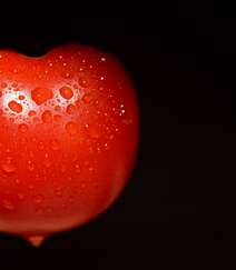 摆在桌上的西红柿（番茄）高清微距摄影美图欣赏组图4