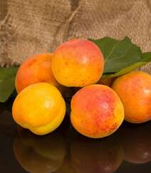 果实金黄，味甜多汁，熟透了的杏子果实高清静物摄影美图组图1