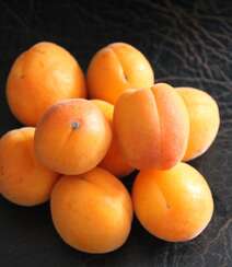 果实金黄，味甜多汁，熟透了的杏子果实高清静物摄影美图组图8