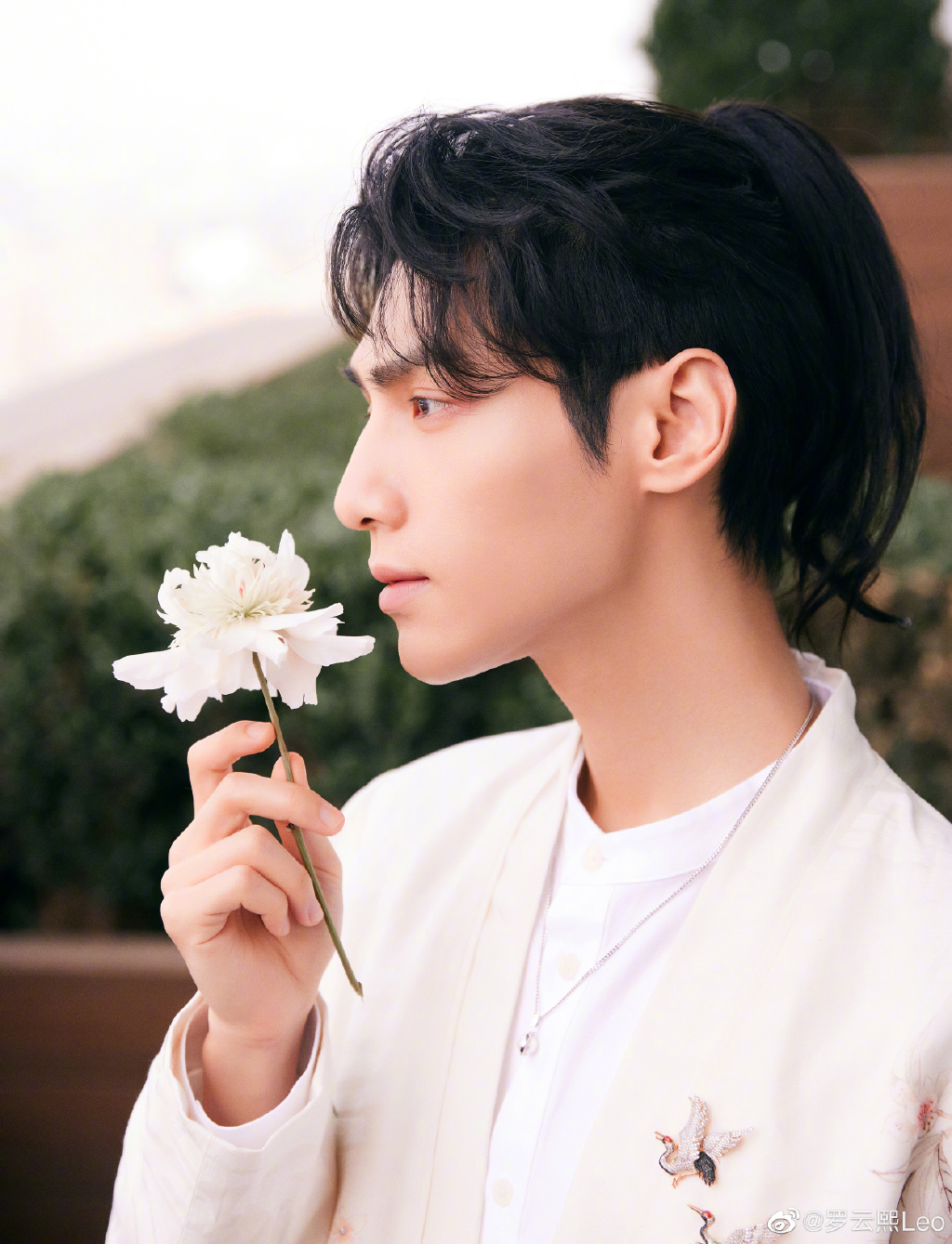 罗云熙化身白衣王子，手拿花朵，尽显魅力型男气质图片