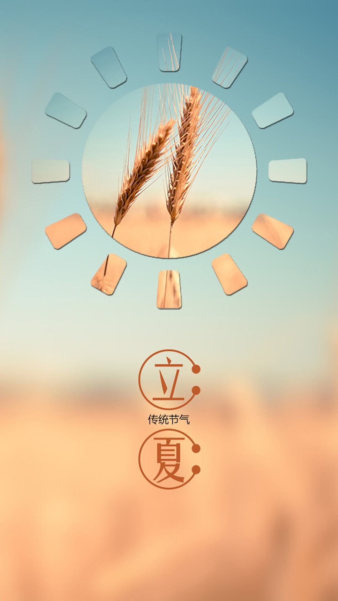 小麦 农作物 谷物 植物 立夏手机壁纸图片