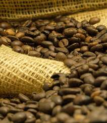 晒干烘干好的咖啡豆唯美高清摄影美图组图2