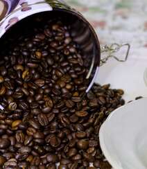 晒干烘干好的咖啡豆唯美高清摄影美图组图7